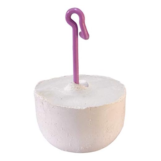 Arquivet Cal Para Loros 20 Gr - Bloque Mineral Con Yodo Para Pájaros - Complemento Alimenticio Para Todas Las Aves Domésticas - Accesorios Para Pájaros - Piedra Para Aves