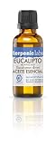 Terpenic