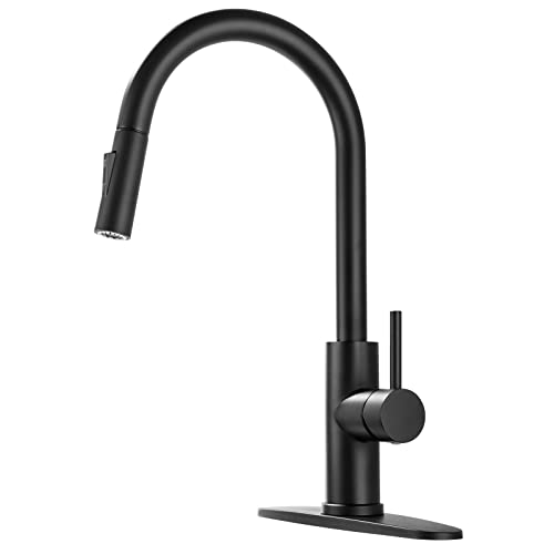 VAKITAP Modern Stainless Steel Kitchen Sink Faucets with Pull Down