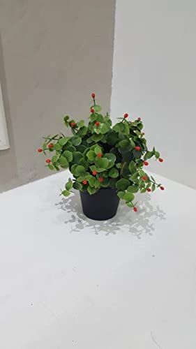 Opiniones y reviews de Decoracion Artificial marca Renombrada para comprar online. 17 Imagen adicional