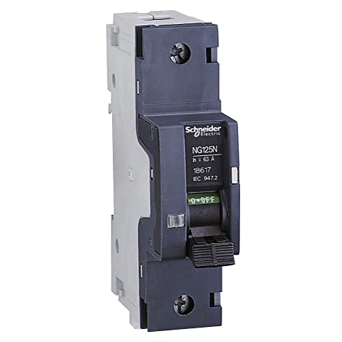 Interruptor magnetotérmico Schneider NG125L de 25A para cuadros eléctricos