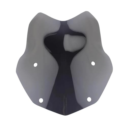 Pare-brise de moto R1200GS anti fatigue protection R1250GS écran