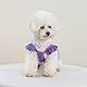 Yaopelky Hunde-Geburtstagskleid It’s My Birthday, für kleine Hunde, Tutu-Kleid, Rüschen, ärmellos, Welpenkleidung, Tüll, Spitzenrock, Haustierkostüm, Katzen-Outfits (lila, M)