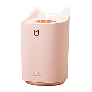 Mini-luchtbevochtiger met dubbele mondstuk USB Mist Maker Beauty-navuldiffuser, roze luchtbevochtiger met dubbele…
