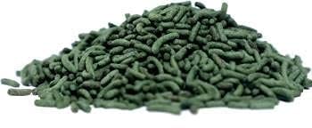 KAPOOR ENTERPRISE 250 gm 0.25 kg Dry New Born Turtle Food