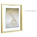 Frametory, Floating Picture Frames Set - Gold Metal Photo Frames - Real Glass - Displays One 11x14, Two 8x10, And Four 5x7 Inch Photos for Home Decoration