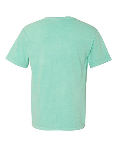 Image of Comfort Colors Adult Short Sleeve Tee, Style G1717