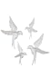 Set of 4 Assorted Sullivans White Resin Birds Wall Art Sculptures