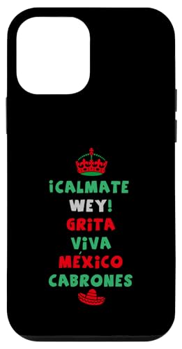 Mexican Hispanic Siesta Pride Mexico Eagle Emblem Patriotic �X�}�z�P�[�X iPhone 12 mini �p