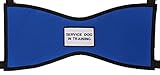 Service Dog in Training Vest (Blue, Tiny 4-7 lbs.)