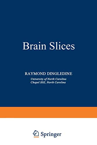 Brain Slices view 2