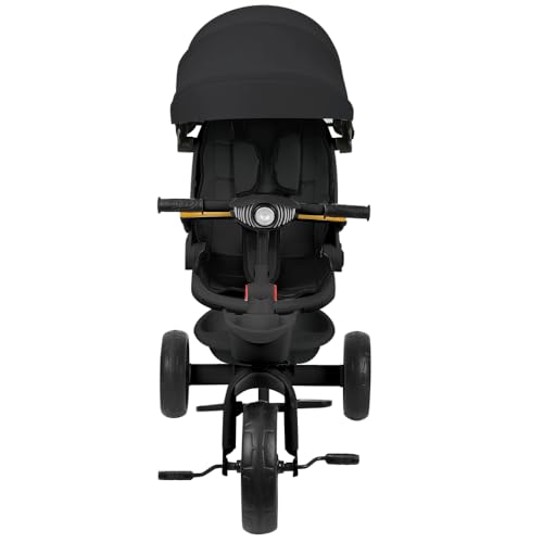 Tricycle Enfants évolutif, Tricycle 5 en1- Lumières et Musique, Siège Enveloppant, Siège et Inclinaison, Poussette 4 Roues, Garde-Corps Amovibles, Porte-gobelet, Noir