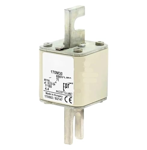 Fusible semi-conducteur 170M3012 690 V 100 A avec indicateur visuel pour protection électrique