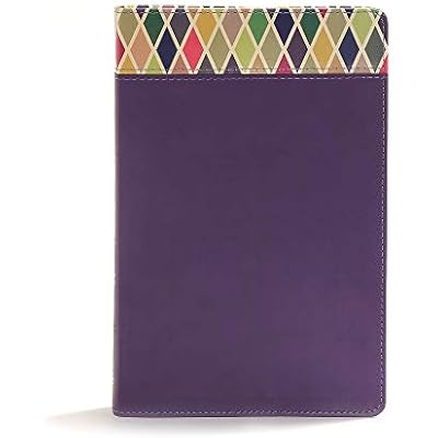 CSB Rainbow Study Bible, Purple LeatherTouch