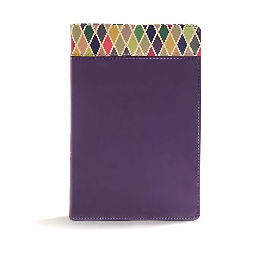 Image of CSB Rainbow Study Bible, Purple Leather Touch