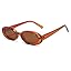 C3 Brown Tinted Frame/Lens