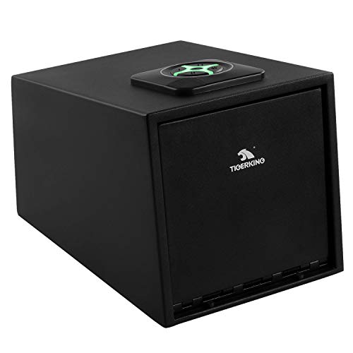 Best Biometric Gun Safe Under 100 10Reviewz