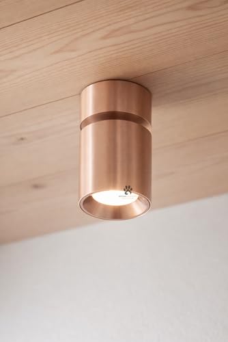 Image of Mufasa 12 Watts Rose Gold Adjustable LED Round Surface Light Cylindrical Shape Indoor Ceiling Mounted Spot Light Down Light Aluminum Body (Warm White)