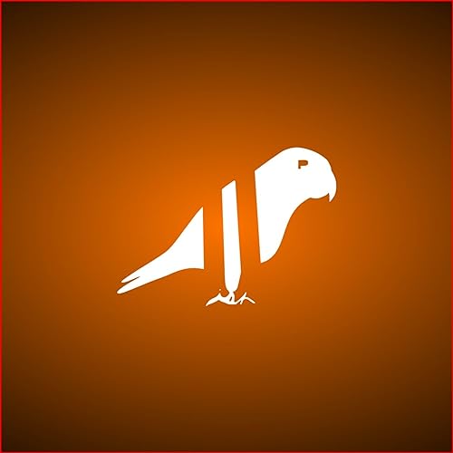 Bird's-Eye View cover art