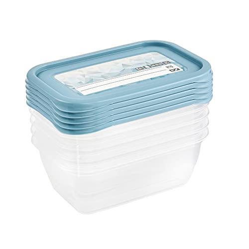 keeeper Set de 5 recipientes de congelación, Tapas con etiquetas reutilizables, 5 x 500 ml, 15,5 x 10,5 x 6 cm, Mia Magic Ice, Azul Nordic