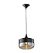 Avenue Lighting HF-9113-BK-BZ Robertson BLVD. Collection Pendant