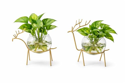 Image of Glass Planter Holder Deer Flower Pot,Round Vase Handmade for Home Decor - Center Table, Bedroom, Living Room and Office Decor Gold Design (Set of 2)