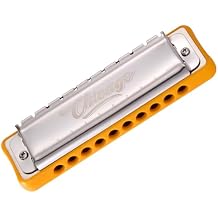 Harmonica JDR Blues key of C 10 Holes 20 Tones Harps Armonica for Adults Kids Professional Beginners Mini Mouth Organ with Case Chicago