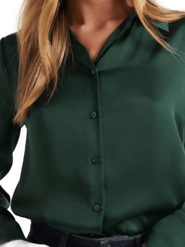 Image of Bowrain Satin Silk Fabric Spread Collar Full Sleeve Top Shirt for Women and Girl