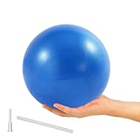Algopix Similar Product 1 - 9 Inch Exercise Pilates Ball Mini