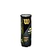 Wilson US Open Tennis Balls - Extra Duty- 2 CAN Pack (12)