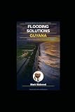 "FLOODING SOLUTIONS": "Engineering a Nation Above Water"