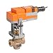 G250S-N+LVX24-MFT Globe Valve | 2" | 2 Way | 40 Cv | w/Non-Spring | 24V | MFT