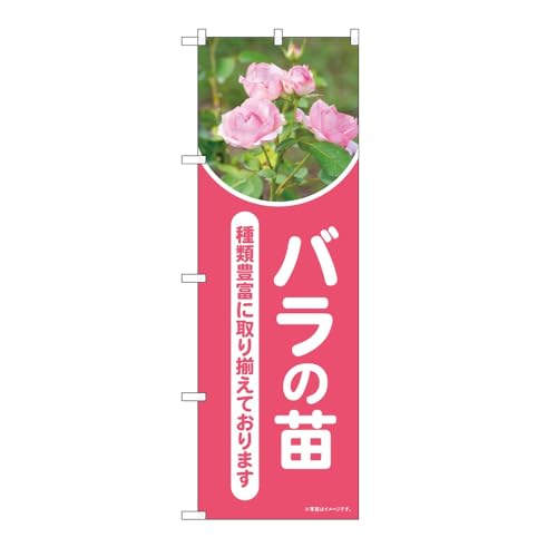 y3Zbgẑڂ艮H[ ̂ڂ 131266 o̕cʐ^nsl W600×H1800mm OO ̑ ɐ 󒍐Yi