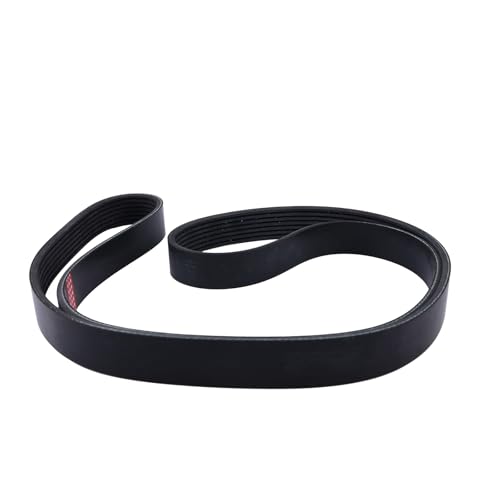 YFANTPA Serpentine Belt 90916-A2019 90916A2019