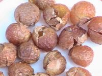 Green Virgin Soap Nuts (250 Grams=.55 Lbs=8.8 Ounces) Approx 83 Wash Loads, Includes 1 Wash Bag, #TOP2