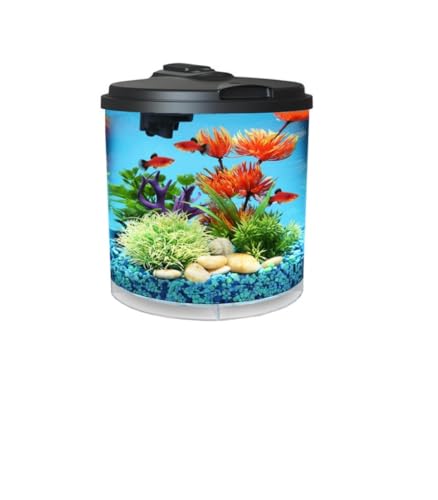 View of Top 10 Best Fish For Office Aquarium : Reviews & Buying Guide - Katynel