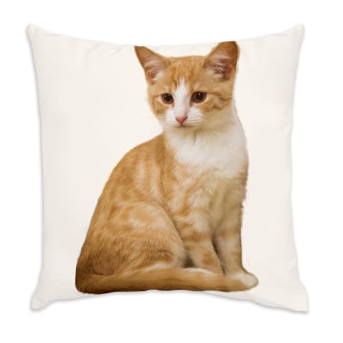 Image of Fabulous Velour Cushion 40 x 40 cm Velour Feel Red and White Cute Cat with Cover and Cushion Included