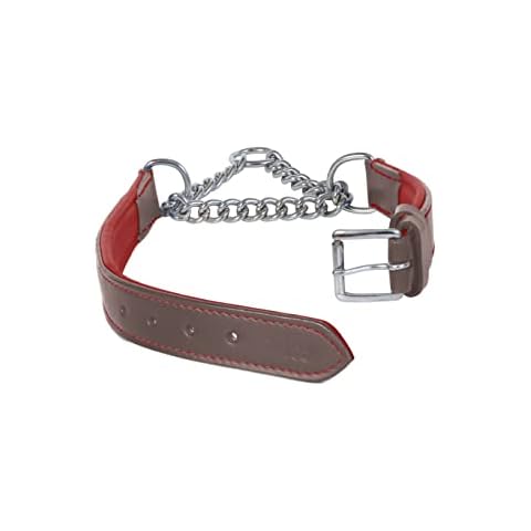 Ace Adjustable PADDED Half check/Martingale Training Leather Dog Collar: fits up to 18" (45 cm) including chain .width 2/3" Cover