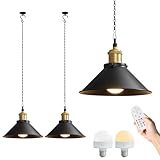 Airseafar 2 Pack Black Battery Operated Hanging Light with Remote, Rechargeable Wireless Outdoor Pendant Lights for Porch Patio Indoor, Adjustable Chain, 12 RGB Colors, 8-Level Dimming, Timer