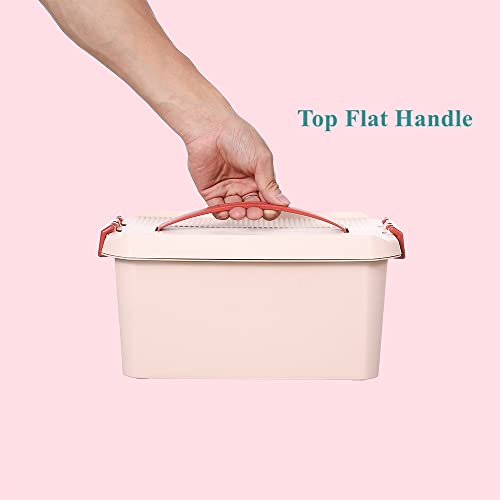 Bangqiao Small Multipurpose Plastic Organizer Storage Carrying Case With Handle, Locking Lid And Removable Tray, Portable Container Bin Box For Art,Craft,Sewing Supplies, First Aid Kit,Pink&Red #TOP3