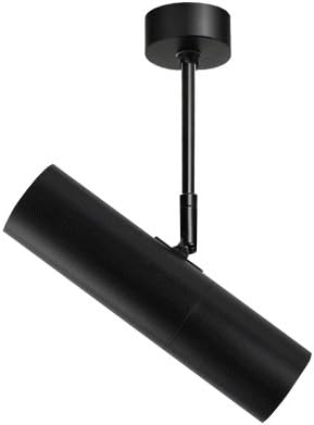 20W LED Ceiling Picture Spot Project Downlight Adjustable Lamp Fixture Light White Finish Warm White