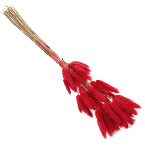 Hierba de cola de conejo seca, 60 tallos rojo oscuro para decoración miniatura 1