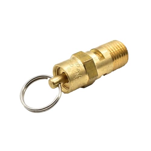 Interstate Pneumatics V165-4 ASME Brass Safety Valve with Pull Ring 1/4 Inch MPT 165 PSI