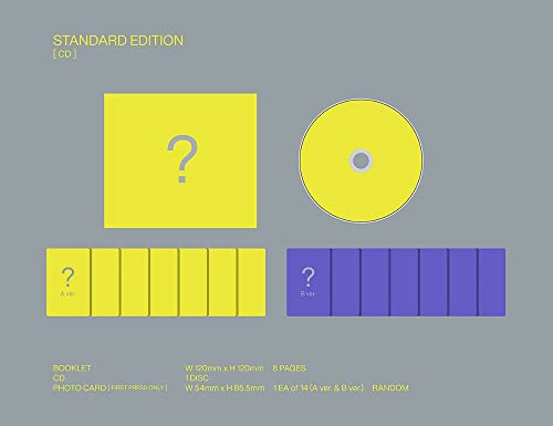 DIMENSION : 閃光 (通常盤/初回プレス)の商品画像