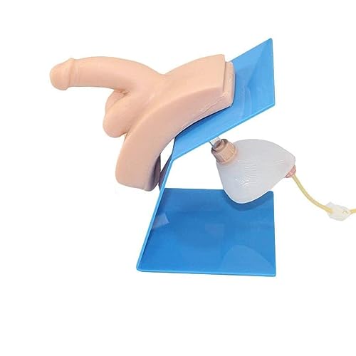 Cathétérisme masculin modèle de simulateur médical pour pratique intuitive des soignants - 2