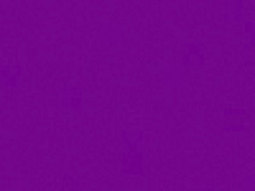 Baier & Schneider articolo fai da te (non