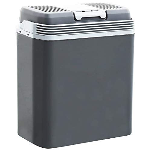 Thermoelektrische Kühlbox Tragbar ECO-Modus Camping Mini-Kühlschrank Warmhaltebox Thermokorb Auto-Kühlbox 24L 12V 230V A+++