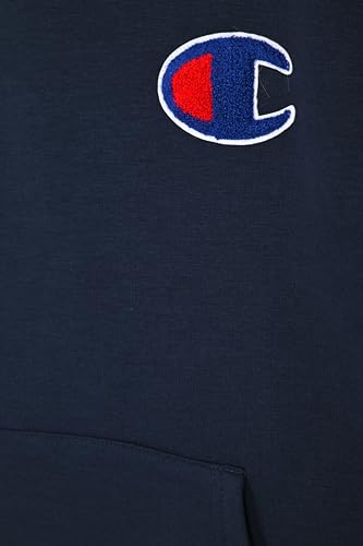 Image of Champion boys Graphic Hoodie Pullover Sweatshirt for Kids With Stylish Embellishments