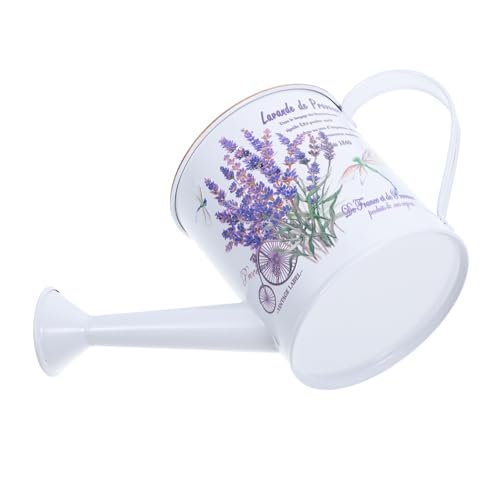 HEMOTON Arrosoir Décoratif en Métal 9,5x10 Cm Motif Lavande Mini Arrosoir pour Plantes D’intérieur Seau à Fleurs Vintage Multifonction Vase et Support de Plante Pratique et Élégant