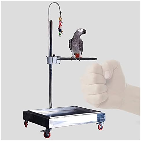 Bird Cage Luxury Stainless Steel Parrot Seven-Shaped Shelf Liftable Large and Medium-Sized Parrot Stand with Brake Parrot Bird Shelf Bird Supplies Bird Cage Birdcages Decor (Silve,Silver